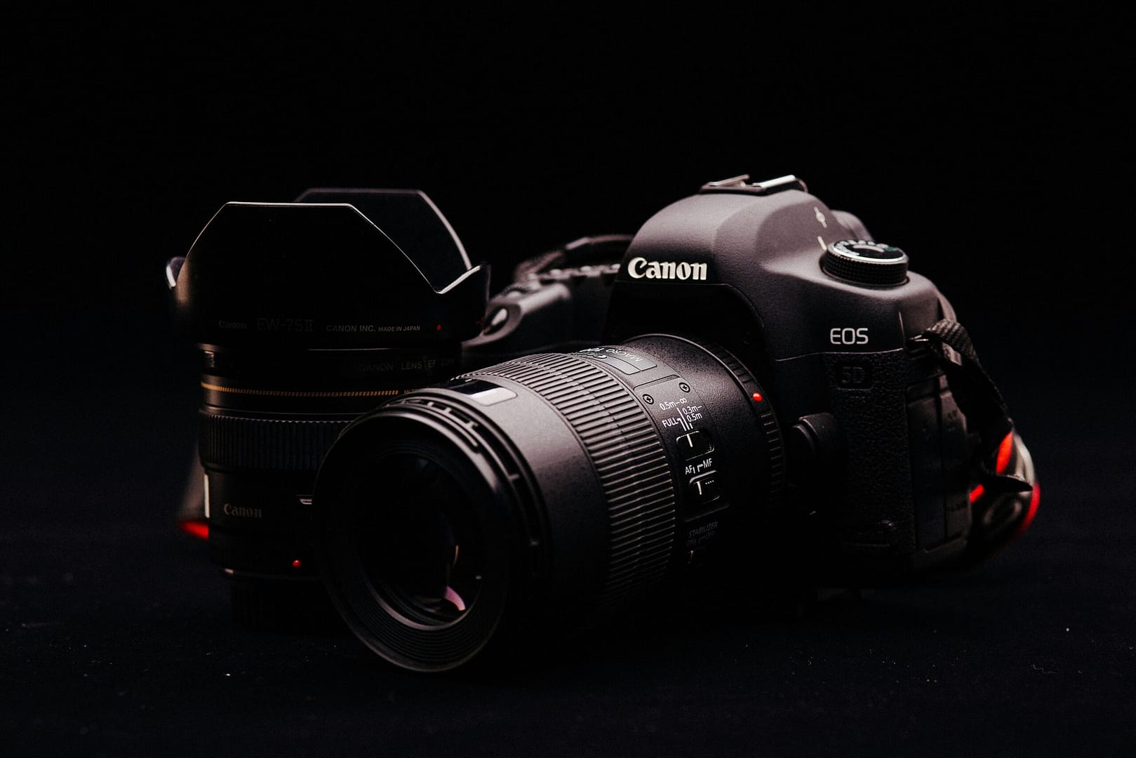 Hidden Canon Camera Settings That Will Improve Your Photography 1 pexels yungsaac 2229671 scaled